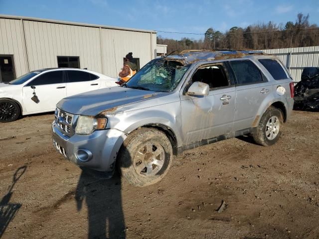 2011 Ford Escape Limited