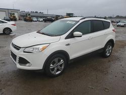 Clean Title Cars for sale at auction: 2015 Ford Escape SE