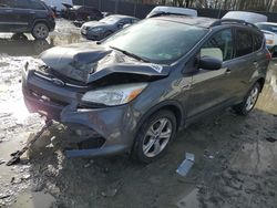 Salvage cars for sale at Waldorf, MD auction: 2016 Ford Escape SE