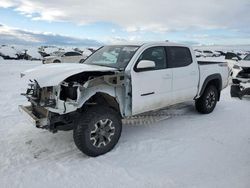 Salvage cars for sale at Helena, MT auction: 2020 Toyota Tacoma Double Cab