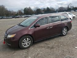 2014 Honda Odyssey EX en venta en Madisonville, TN