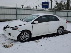 Toyota salvage cars for sale: 2010 Toyota Corolla Base