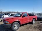 2003 Dodge Dakota SXT