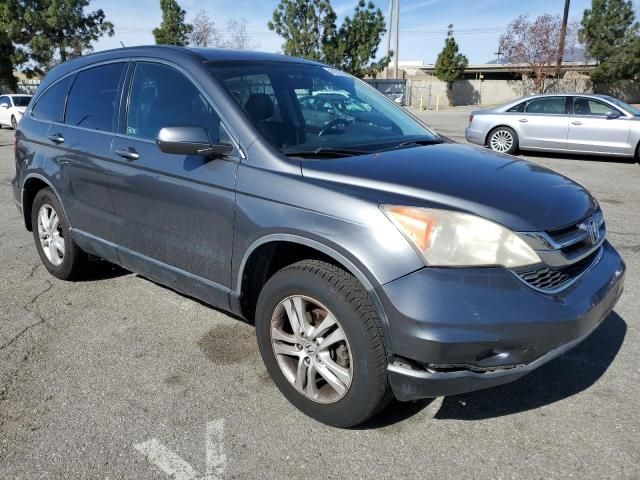 2010 Honda CR-V EXL