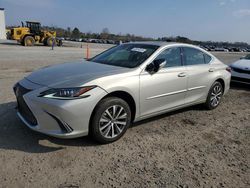 Salvage cars for sale at Lumberton, NC auction: 2019 Lexus ES 350