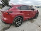 2020 Lexus NX 300 F Sport