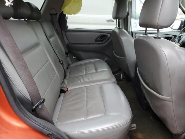 2007 Ford Escape XLT