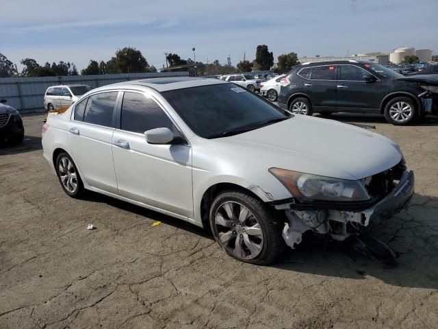 2010 Honda Accord EXL