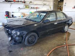 Toyota salvage cars for sale: 2001 Toyota Corolla CE