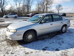 Salvage cars for sale from Copart Cicero, IN: 2004 Chevrolet Classic