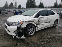 Lexus salvage cars for sale: 2010 Lexus HS 250H