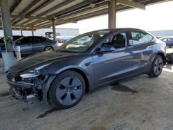 Salvage cars for sale at Hayward, CA auction: 2023 Tesla Model 3