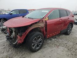 Salvage cars for sale at Cahokia Heights, IL auction: 2020 Honda CR-V EX