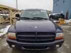 1999 Dodge Durango