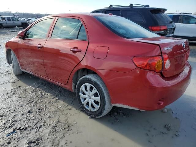 2010 Toyota Corolla Base