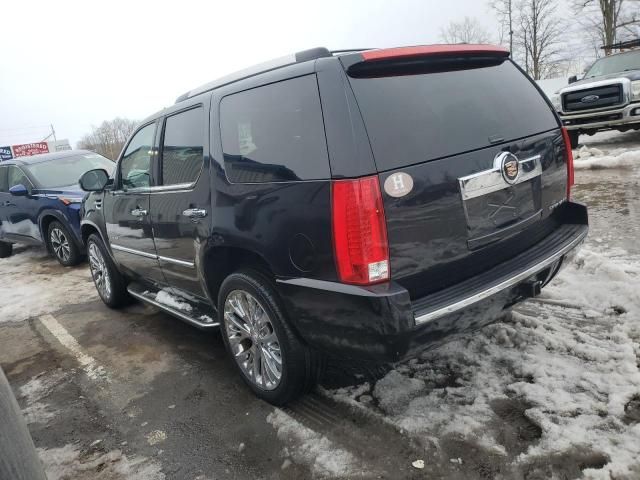 2014 Cadillac Escalade Luxury