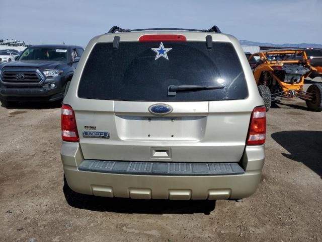 2010 Ford Escape XLT