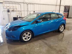 Salvage cars for sale at Avon, MN auction: 2014 Ford Focus SE