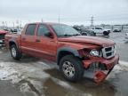 2008 Dodge Dakota TRX