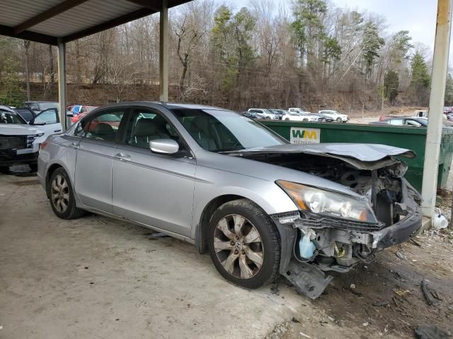 2010 Honda Accord EXL