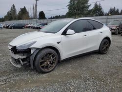 Tesla Vehiculos salvage en venta: 2020 Tesla Model Y