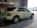 2008 Mercedes-Benz ML 350