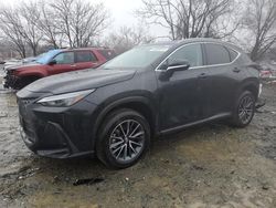 Salvage cars for sale at Baltimore, MD auction: 2025 Lexus NX 350 Base