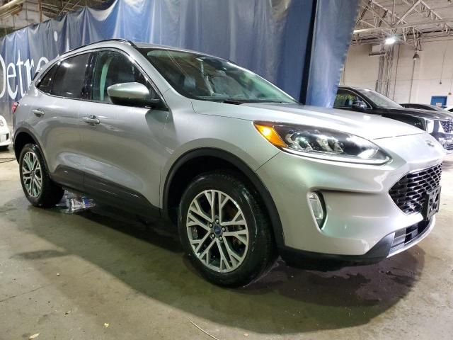 2021 Ford Escape SEL