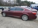 2008 Lexus LS 460