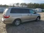 2005 Honda Odyssey EXL