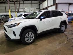 Salvage cars for sale from Copart Lawrenceburg, KY: 2023 Toyota Rav4 LE