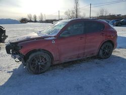 2023 Alfa Romeo Stelvio Quadrifoglio en venta en Montreal Est, QC