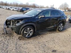 Salvage cars for sale at Hillsborough, NJ auction: 2020 Lexus NX 300