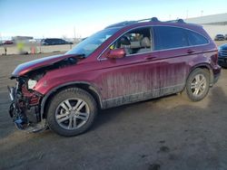 Salvage cars for sale at Brighton, CO auction: 2010 Honda CR-V EXL