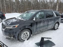 Salvage cars for sale at Cookstown, ON auction: 2024 KIA Carnival LX