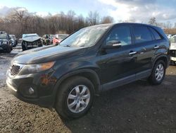 Salvage cars for sale at East Granby, CT auction: 2013 KIA Sorento LX