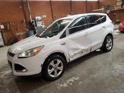 Salvage cars for sale at Ebensburg, PA auction: 2013 Ford Escape SE