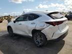 2024 Lexus NX 250 Premium