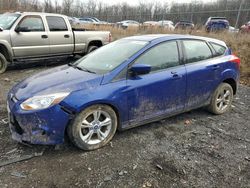 Salvage cars for sale at Baltimore, MD auction: 2012 Ford Focus SE