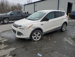 Ford Vehiculos salvage en venta: 2013 Ford Escape SE