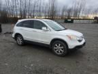 2008 Honda CR-V EXL