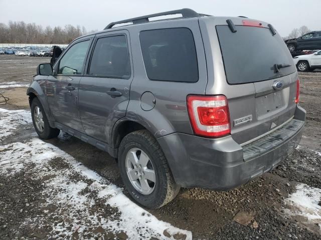 2011 Ford Escape XLT