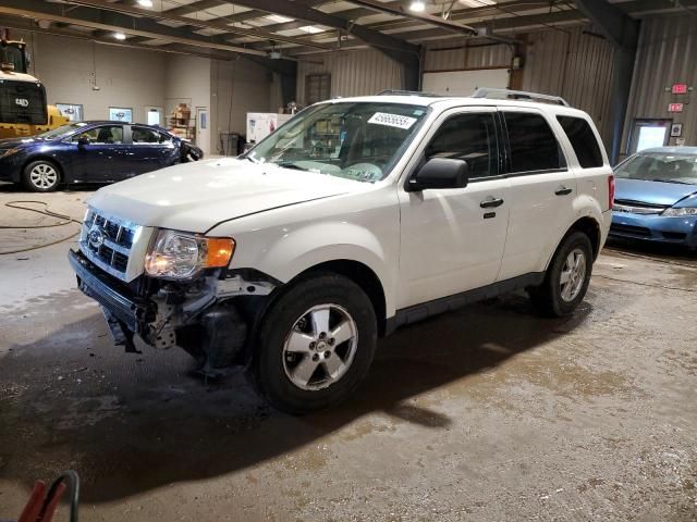 2011 Ford Escape XLT