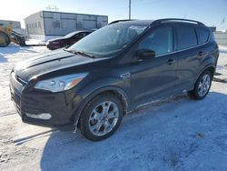 Salvage cars for sale at Bismarck, ND auction: 2016 Ford Escape SE