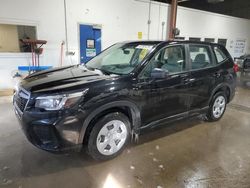 Salvage cars for sale at Blaine, MN auction: 2019 Subaru Forester