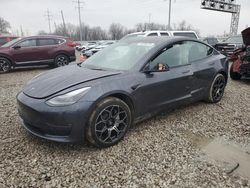 Salvage cars for sale at Columbus, OH auction: 2023 Tesla Model 3