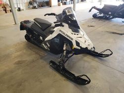 Salvage motorcycles for sale at Avon, MN auction: 2021 Polaris Snowmobile