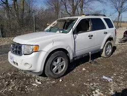 Salvage cars for sale at Cicero, IN auction: 2012 Ford Escape XLT