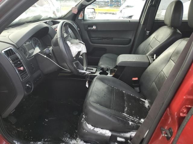 2011 Ford Escape Limited