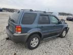 2006 Ford Escape XLT